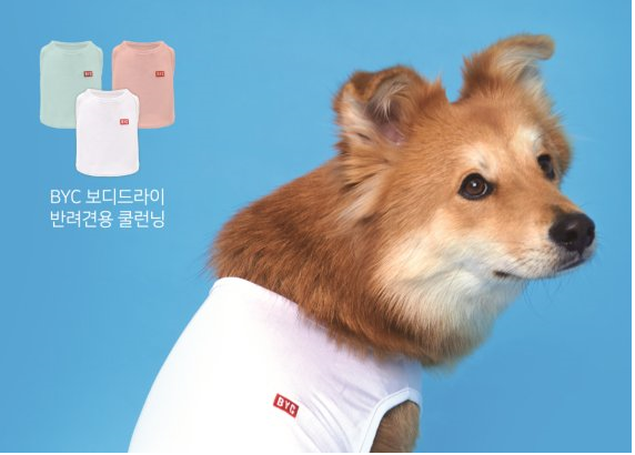 개리야스.png