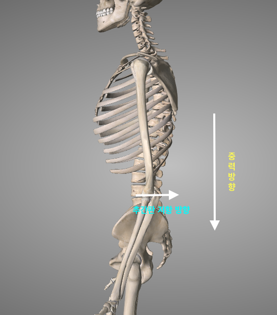 스크린샷 2021-01-11 오후 9.03.08.png