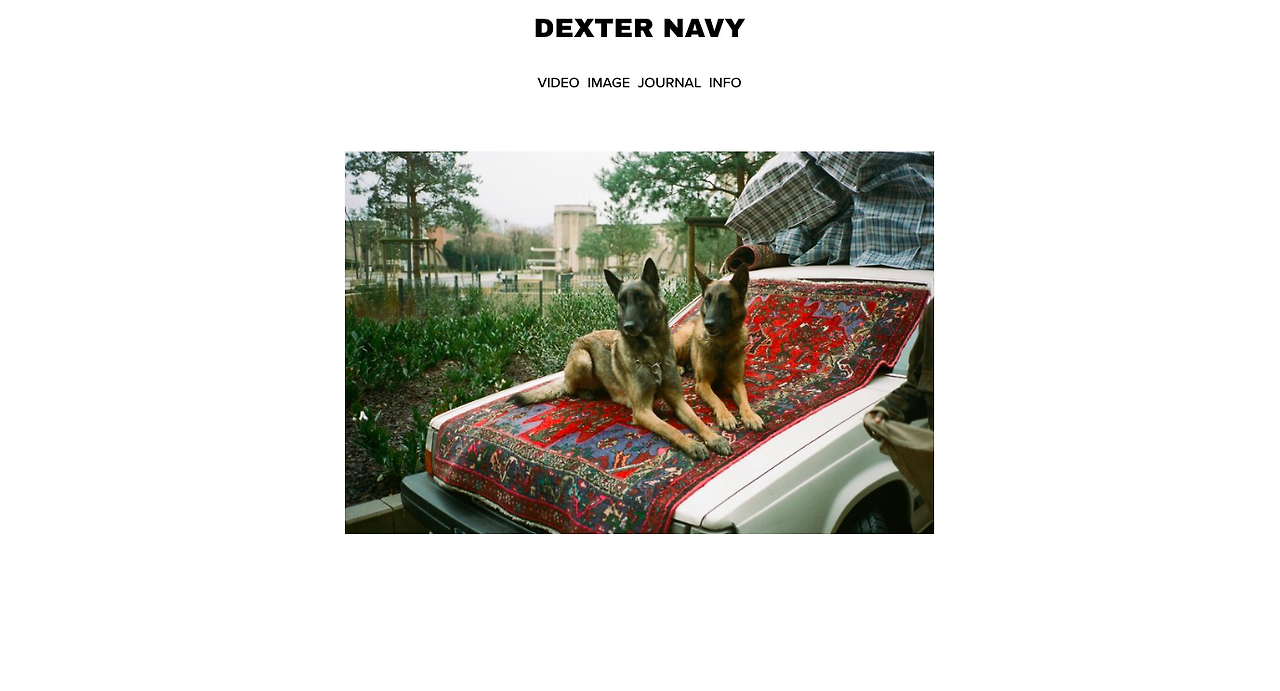 dexter_navy.png