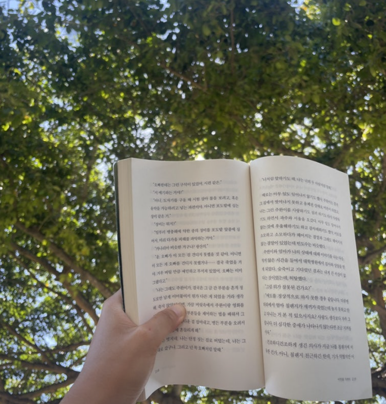 스크린샷 2025-08-02 오후 3.08.05.png