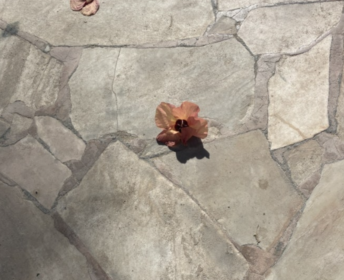 스크린샷 2025-08-02 오후 3.07.55.png