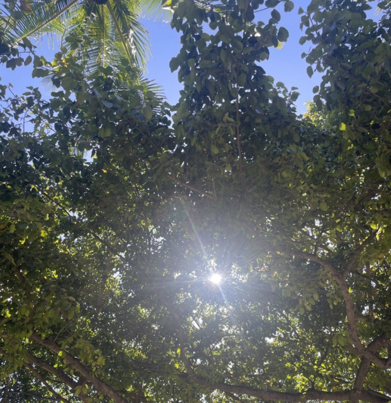 스크린샷 2025-08-02 오후 3.07.48.png