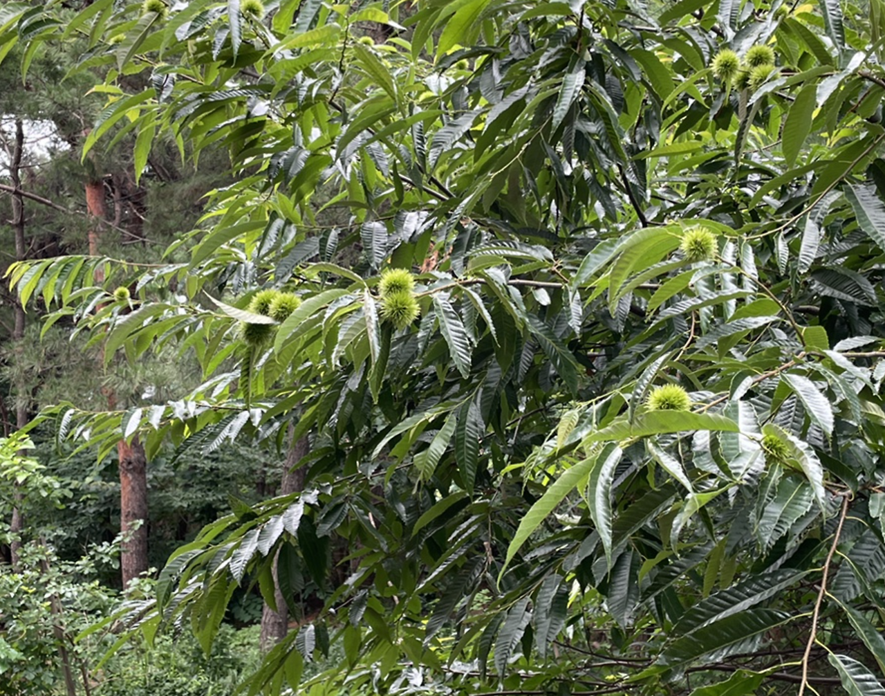 스크린샷 2022-07-30 오후 10.08.51.png