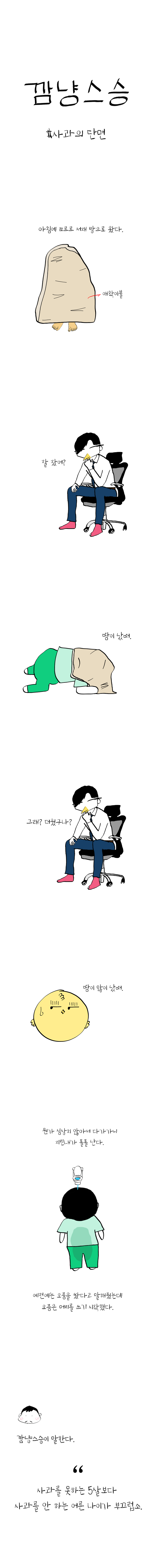 사과의 단면.png