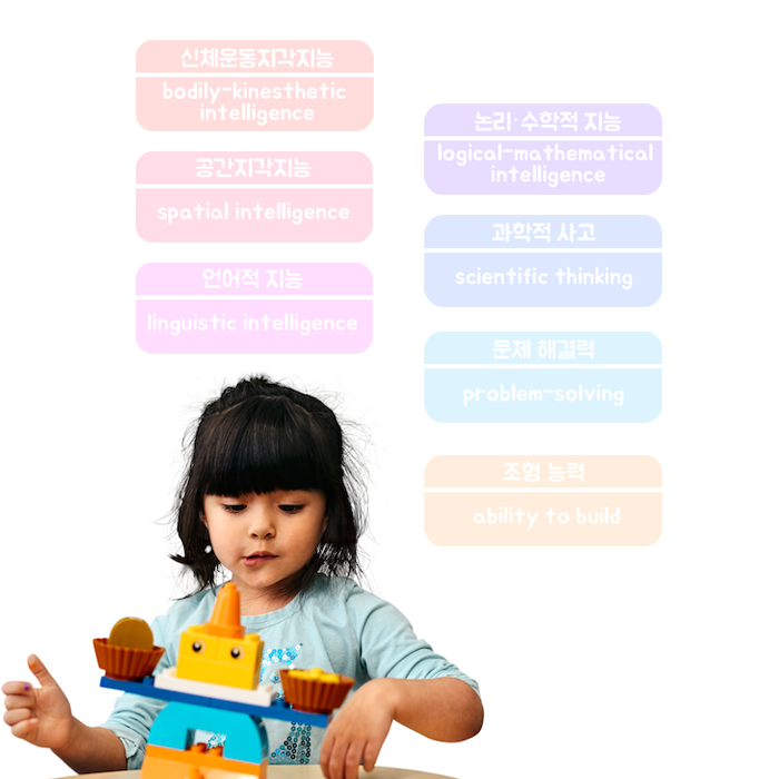 다중지능.png