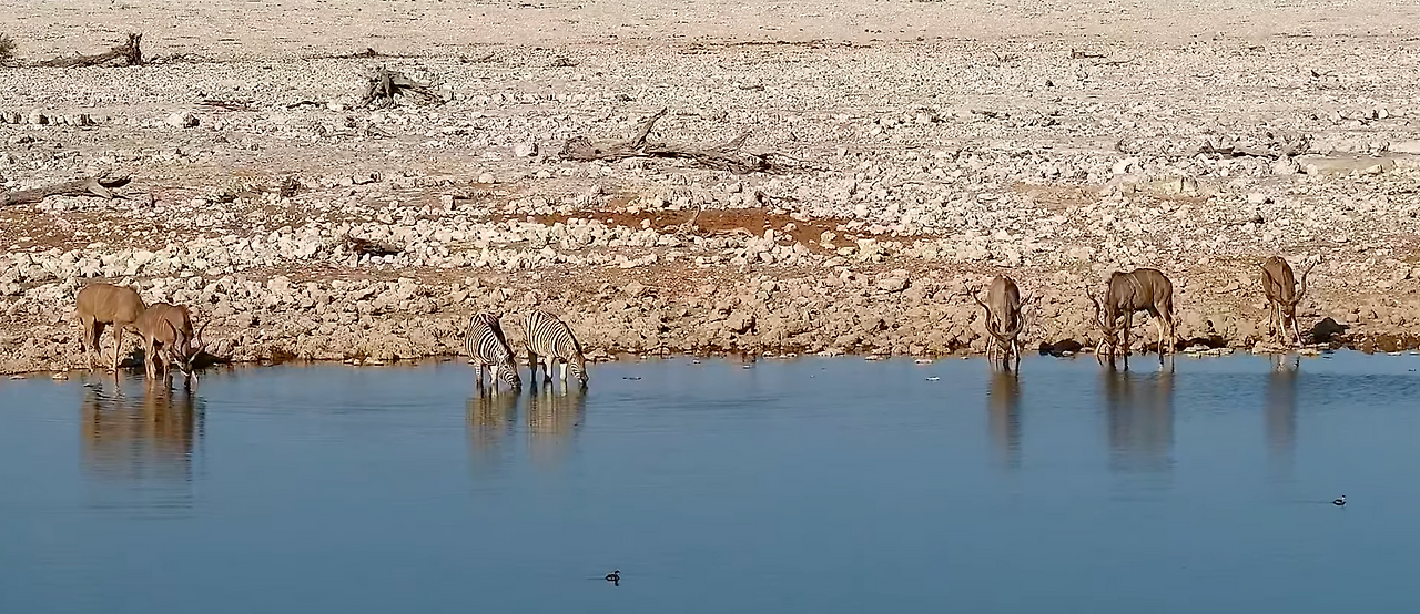 스크린샷 2024-10-08 오전 12.23.31.png