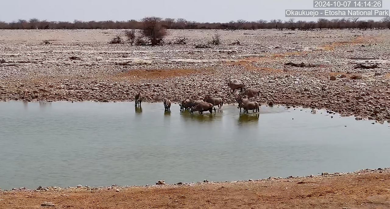 스크린샷 2024-10-07 오후 10.41.20.png