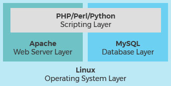 Screen Shot 2019-01-25 at 11.04.58 PM.png