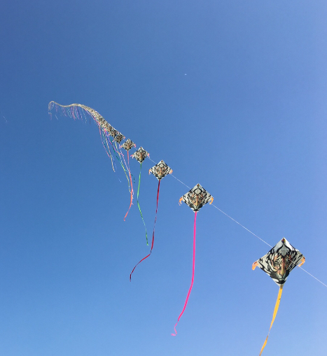 하늘을 나는 연.png