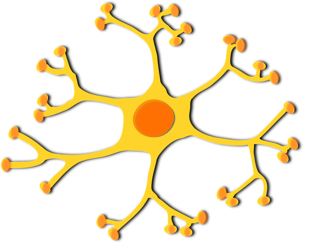 neuron-306034_1280.png