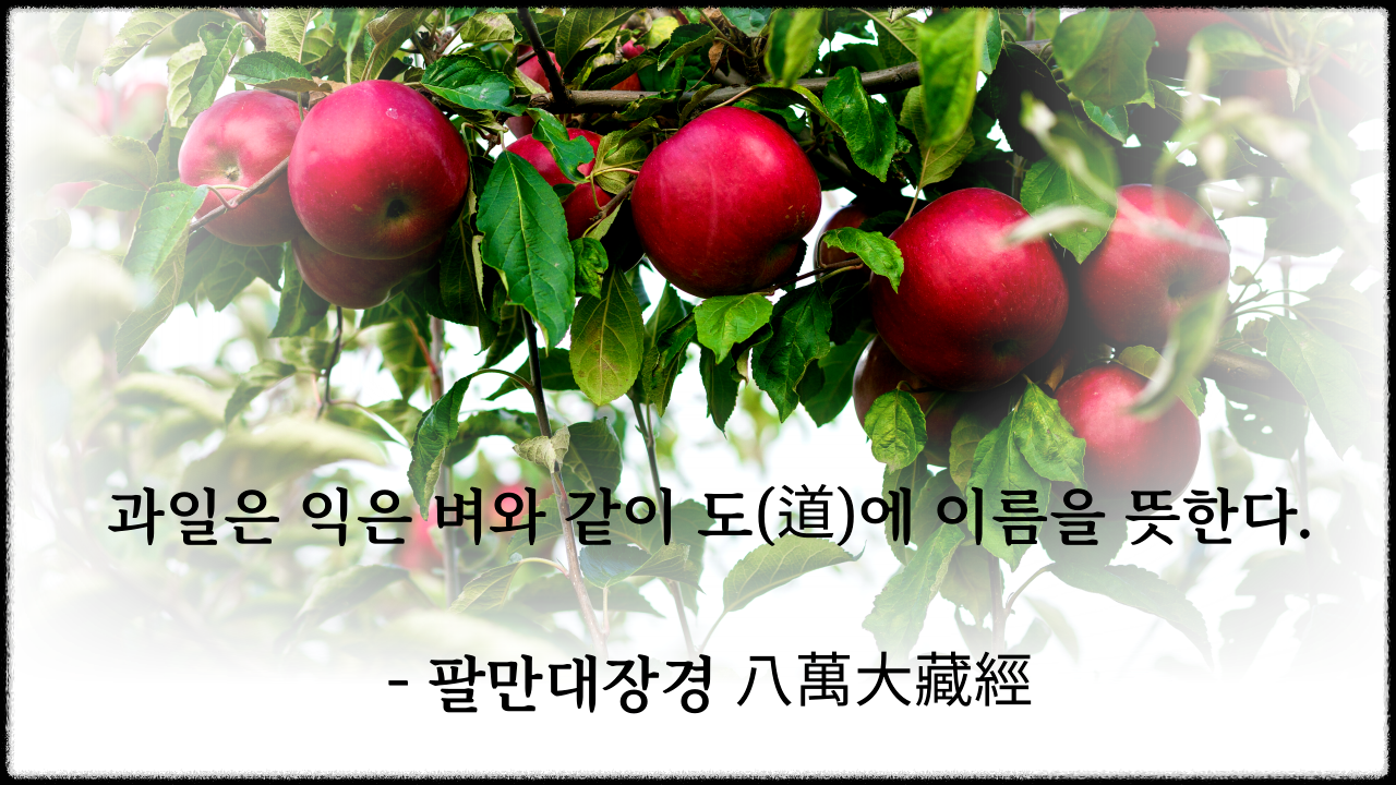 제목을-입력해주세요_-002.png