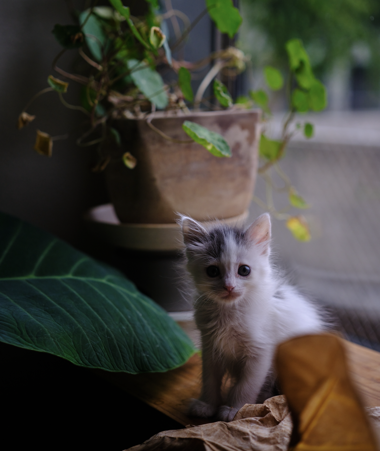 스크린샷 2025-12-28 오전 1.28.55.png