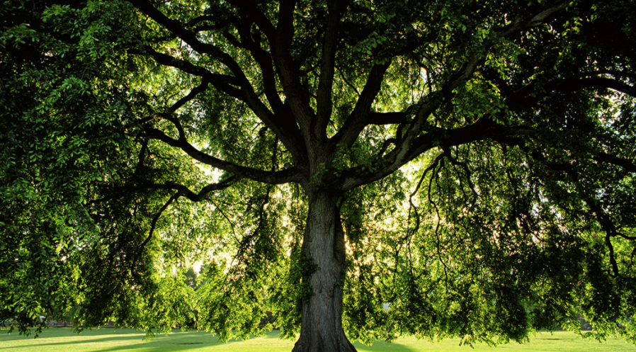 스크린샷 2021-12-18 오후 6.21.26.png