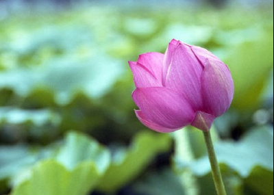 스크린샷 2024-05-05 오후 1.37.00.png