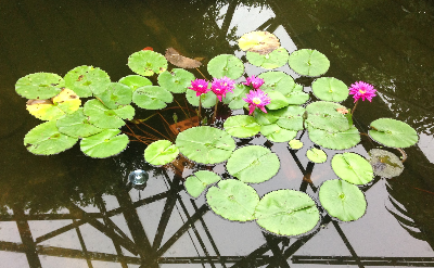 스크린샷 2024-05-05 오후 1.36.38.png