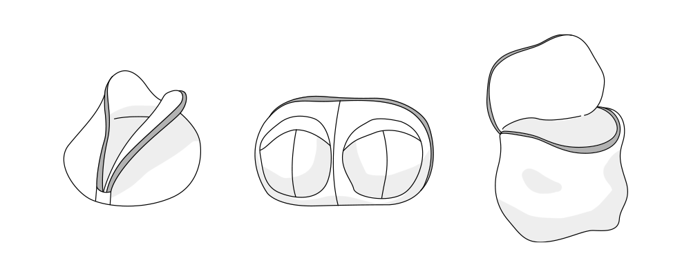 세탁망 일러스트.png