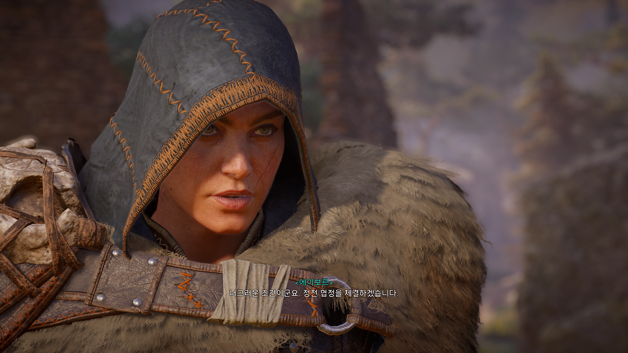 Assassin's Creed Valhalla Screenshot 2020.11.17 - 13.07.06.19.png