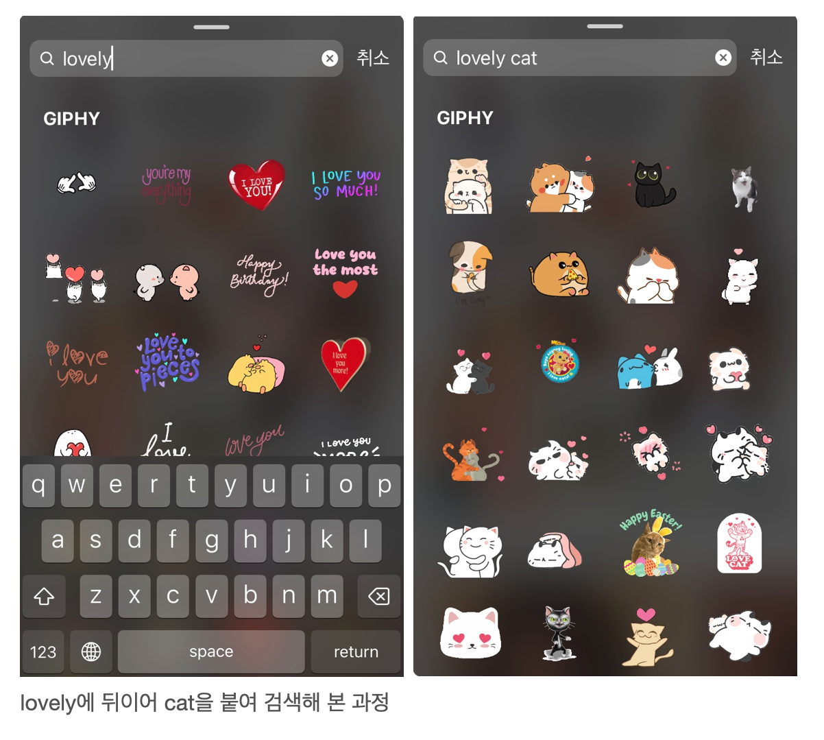 lovely에 뒤이어 cat을 붙여 검색해 본 과정.png