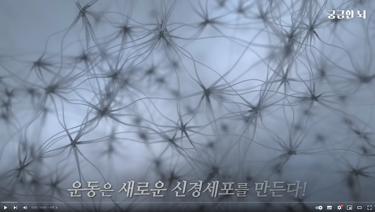 스크린샷 2024-08-07 오전 1.20.31.png