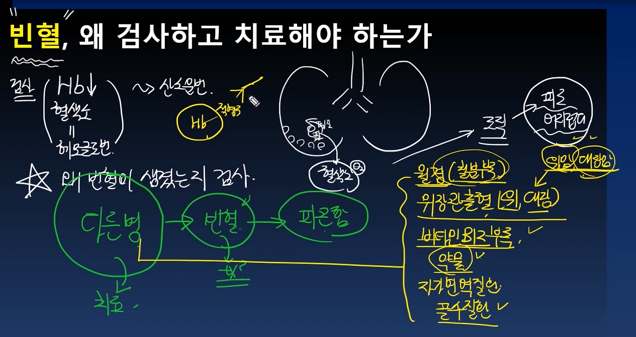 스크린샷 2024-11-13 오전 1.13.38.png