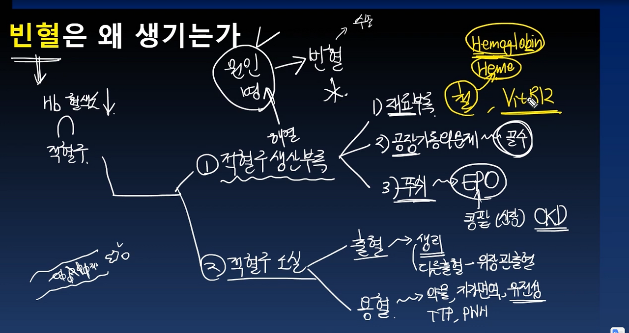 스크린샷 2024-11-13 오전 1.20.33.png