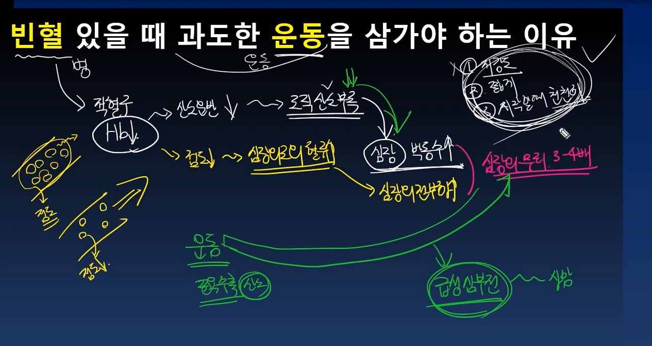 스크린샷 2024-11-13 오전 1.15.59.png