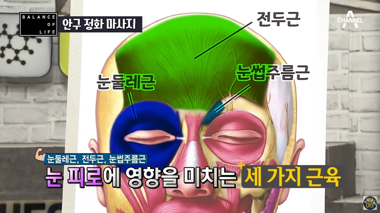 스크린샷 2025-01-31 오후 10.17.24.png