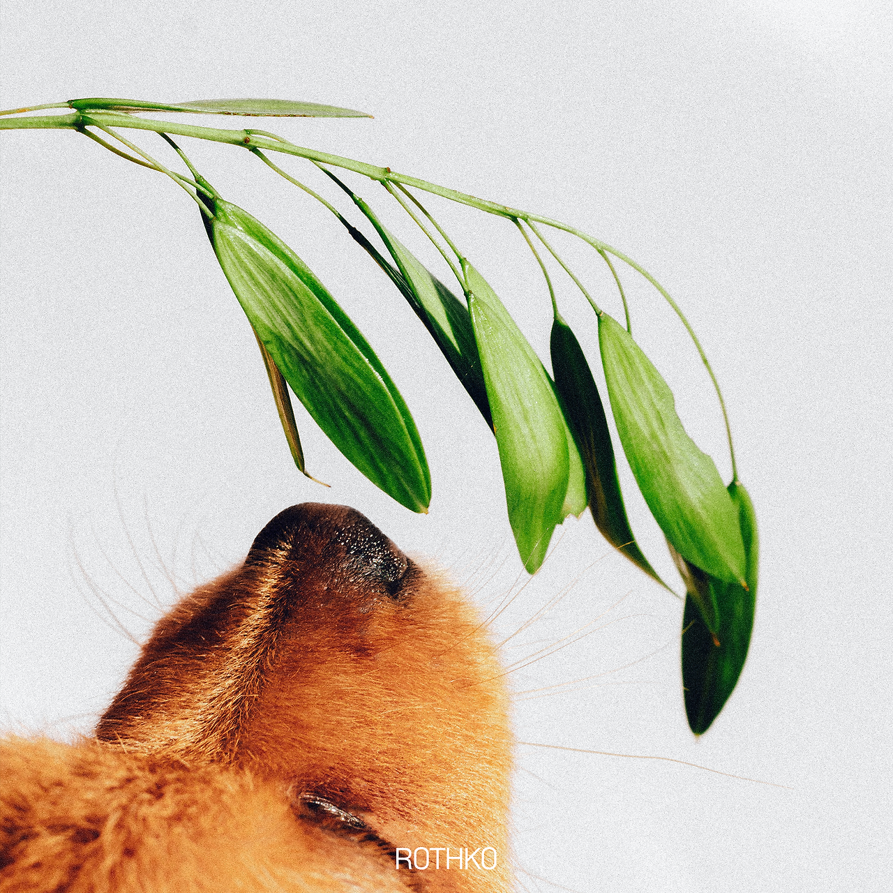 브런치 북 03(2).png