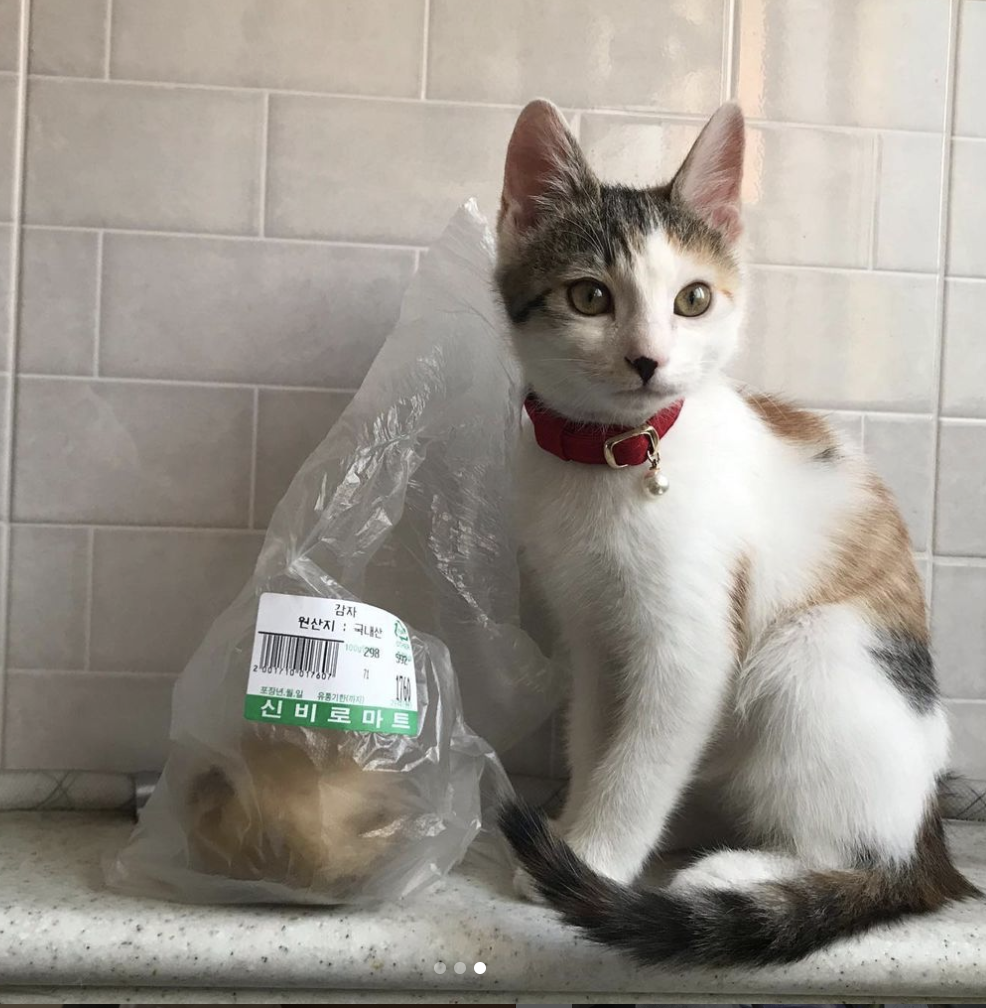 스크린샷 2022-01-15 오후 11.42.59.png