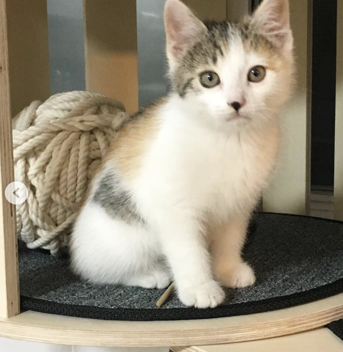 스크린샷 2022-01-15 오후 11.44.46.png