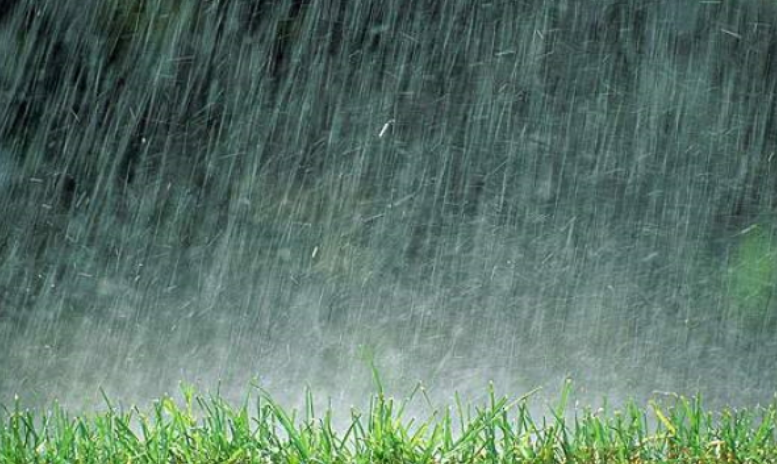 스크린샷 2025-07-25 225014.png