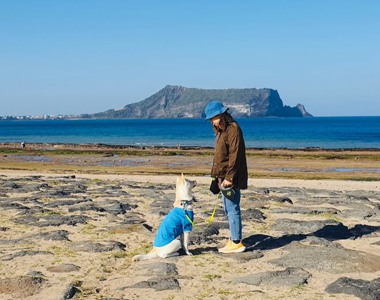 스크린샷 2025-07-29 170254.png