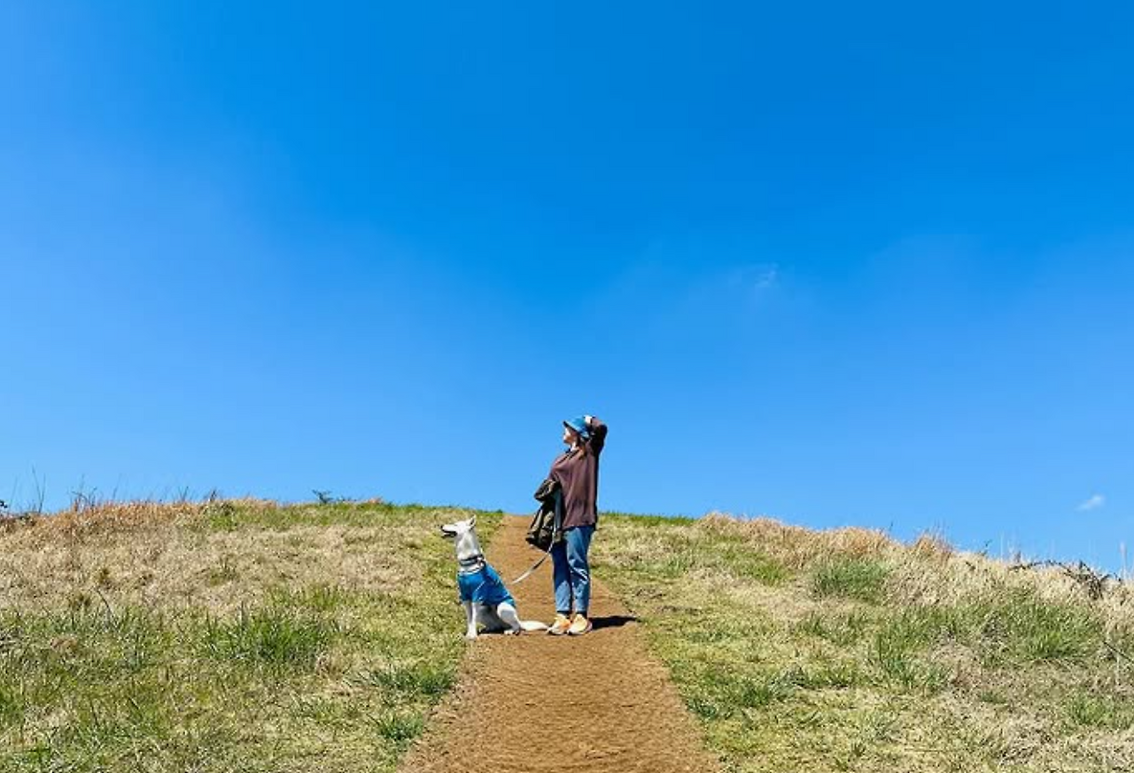 스크린샷 2025-07-29 170247.png