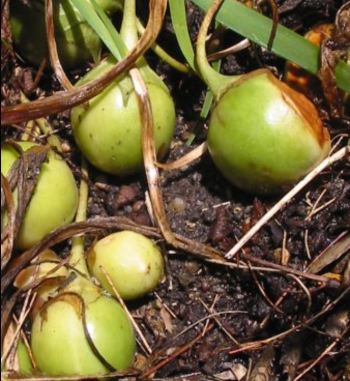 스크린샷 2018-12-13 오후 1.34.26.png