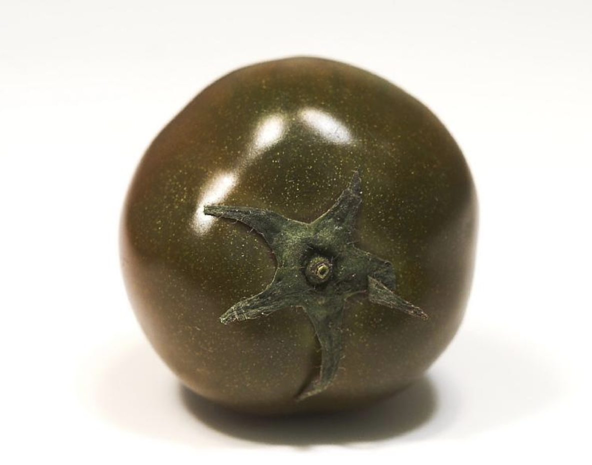 스크린샷 2018-12-13 오후 4.03.48.png