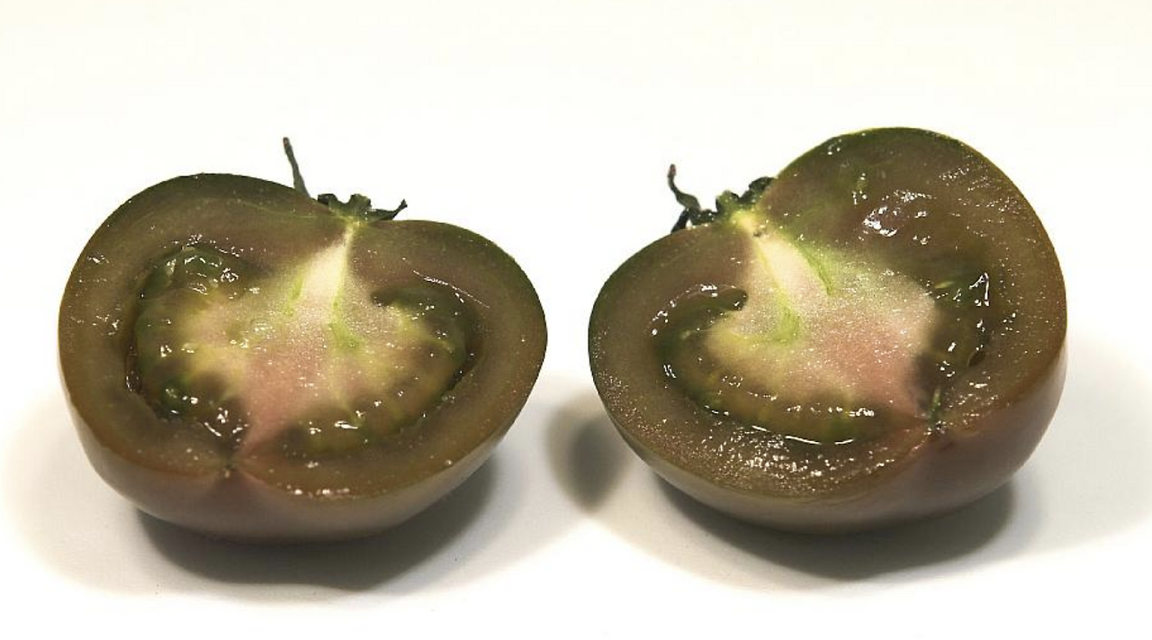 스크린샷 2018-12-13 오후 4.04.28.png