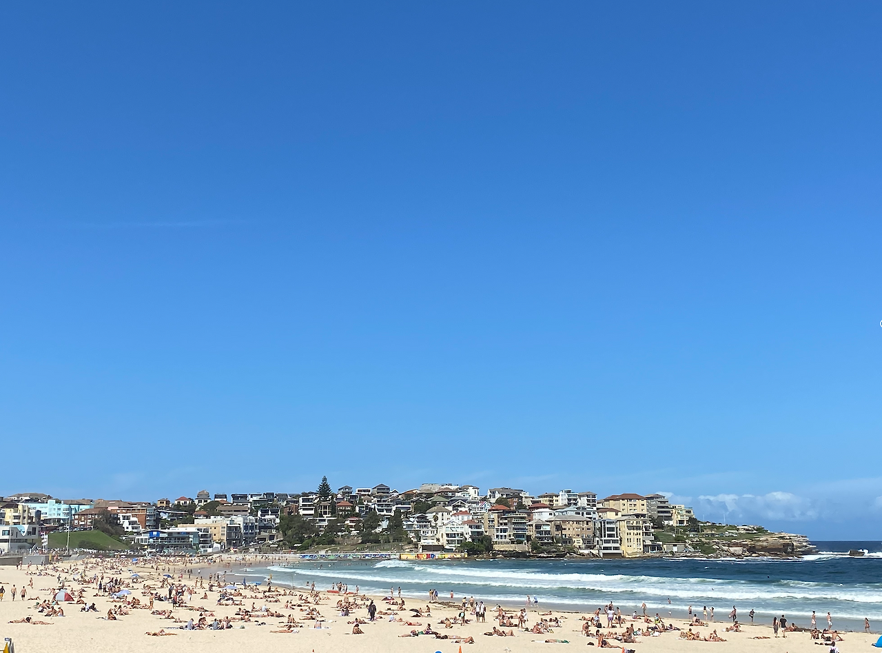 Screen Shot 2021-12-18 at 8.53.30 PM.png