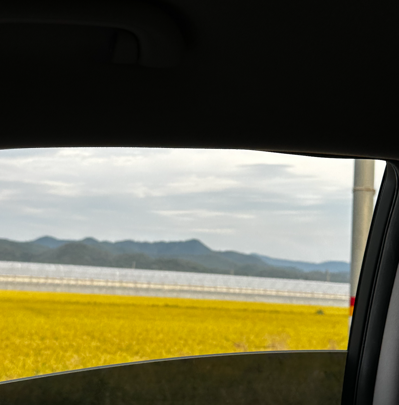 Screen Shot 2023-07-16 at 12.01.31 AM.png