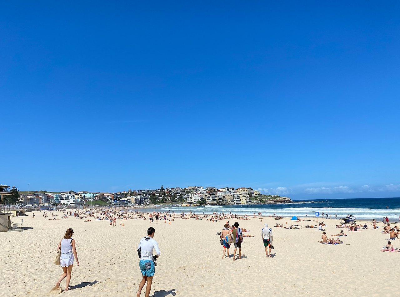 Screen Shot 2022-09-02 at 2.51.33 PM.png