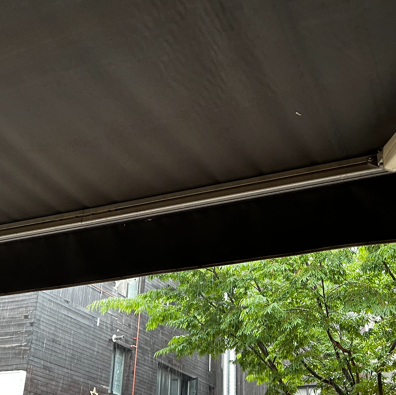 Screen Shot 2022-07-23 at 5.32.44 PM.png