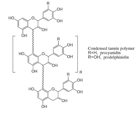 condensedtannin_fig.png