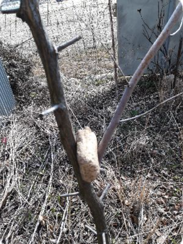 화면 캡처 2023-01-19 045231.png