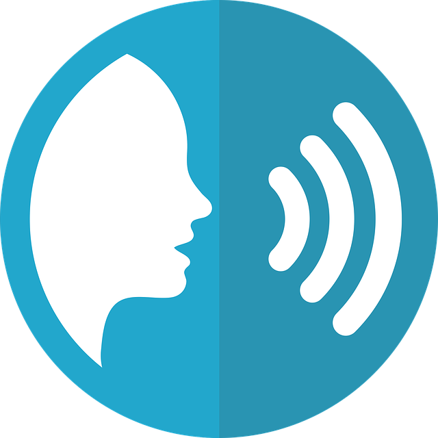 speech-icon-2797263_640.png