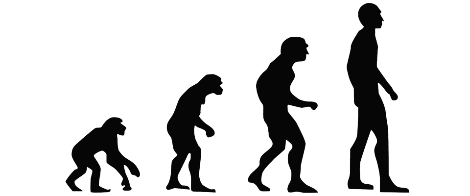evolution-2780651_960_720.png