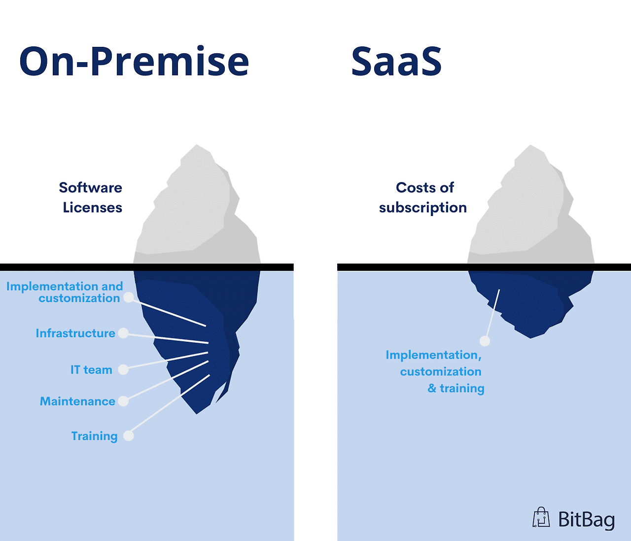 saas_onpremise_cost.png