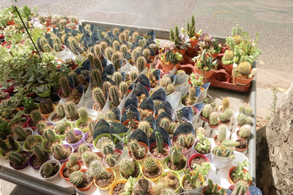 스크린샷 2025-06-07 095711.png