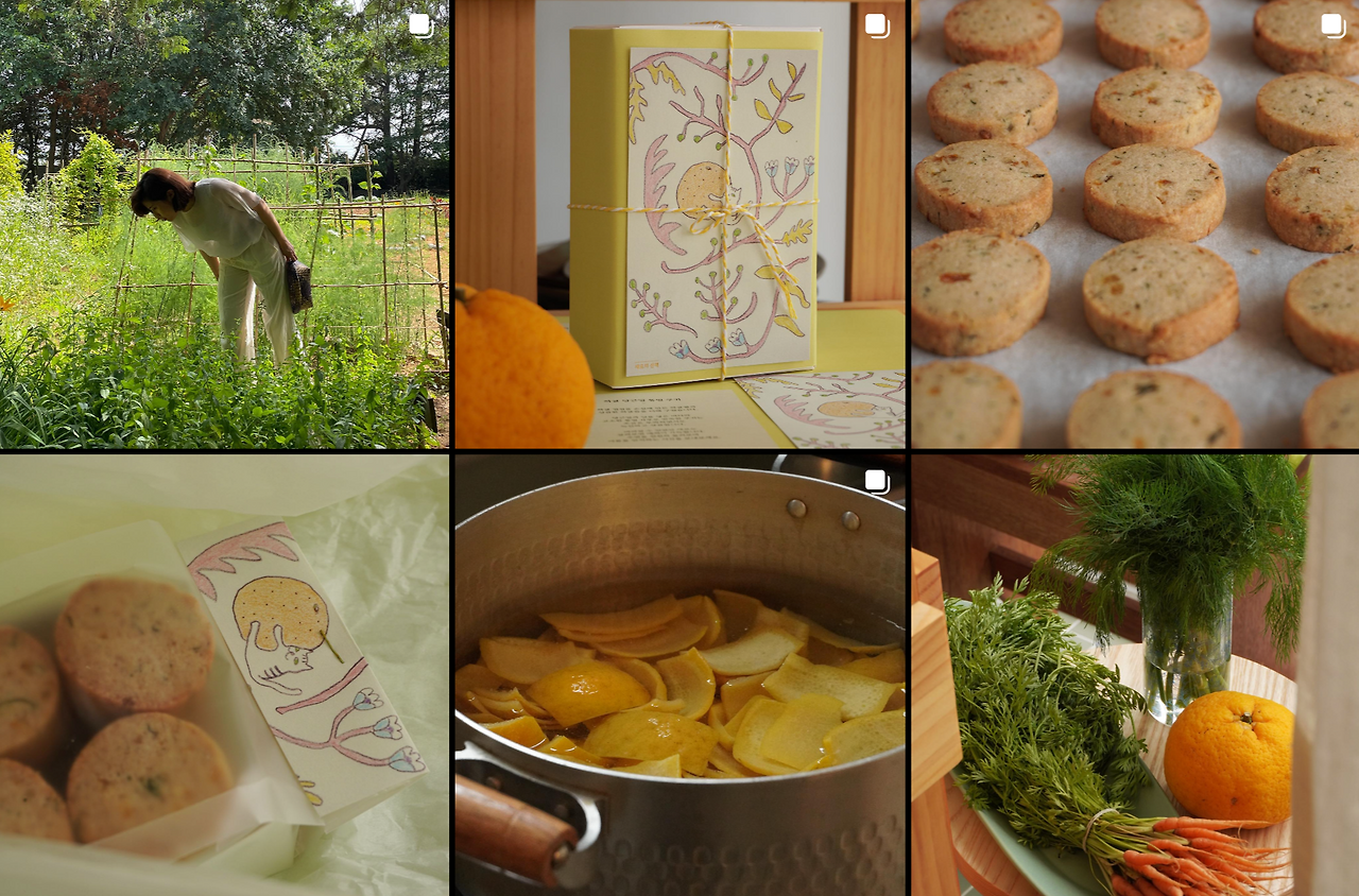 Screen Shot 2024-01-04 at 5.45.05 PM.png