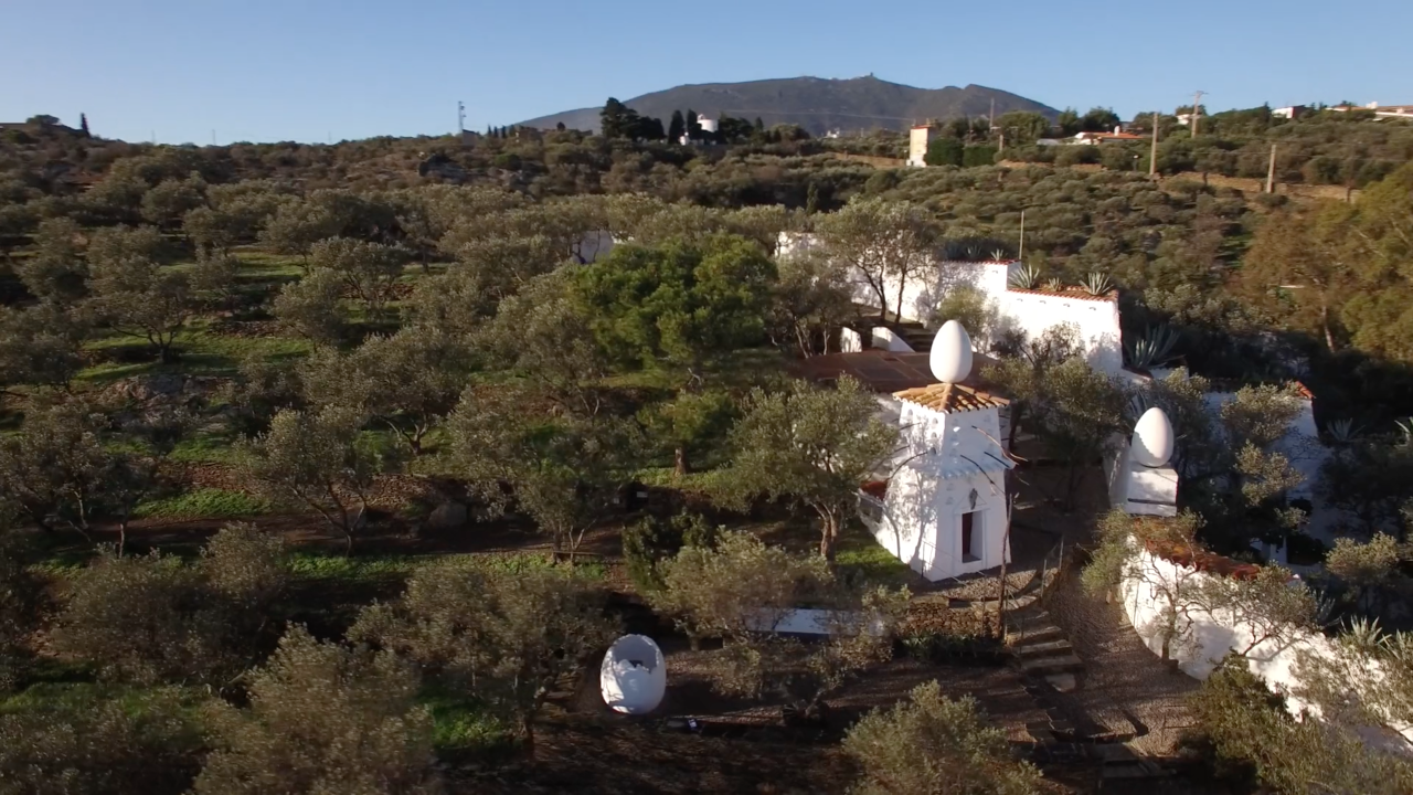 살바도르 달리 불멸을 찾아서 후기.png