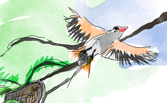 제목 없음 277.png