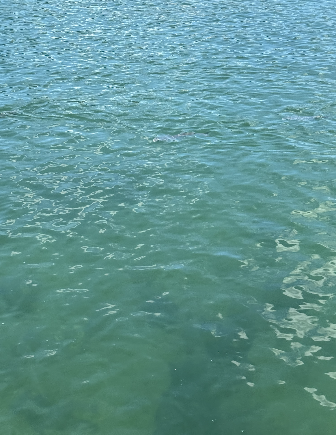 스크린샷 2025-08-11 오전 12.09.53.png